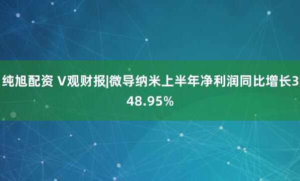纯旭配资 V观财报|微导纳米上半年净利润同比增长348.95%