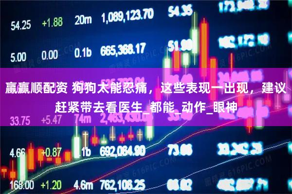 赢赢顺配资 狗狗太能忍痛，这些表现一出现，建议赶紧带去看医生_都能_动作_眼神